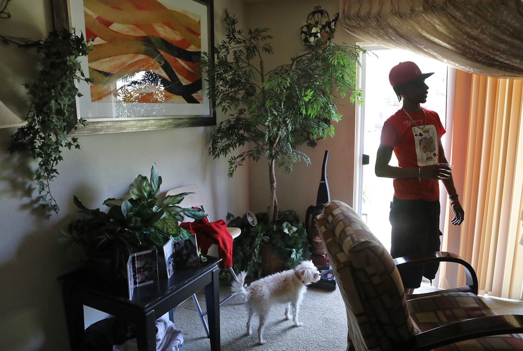 What has changed (if anything) in Ferguson apartments